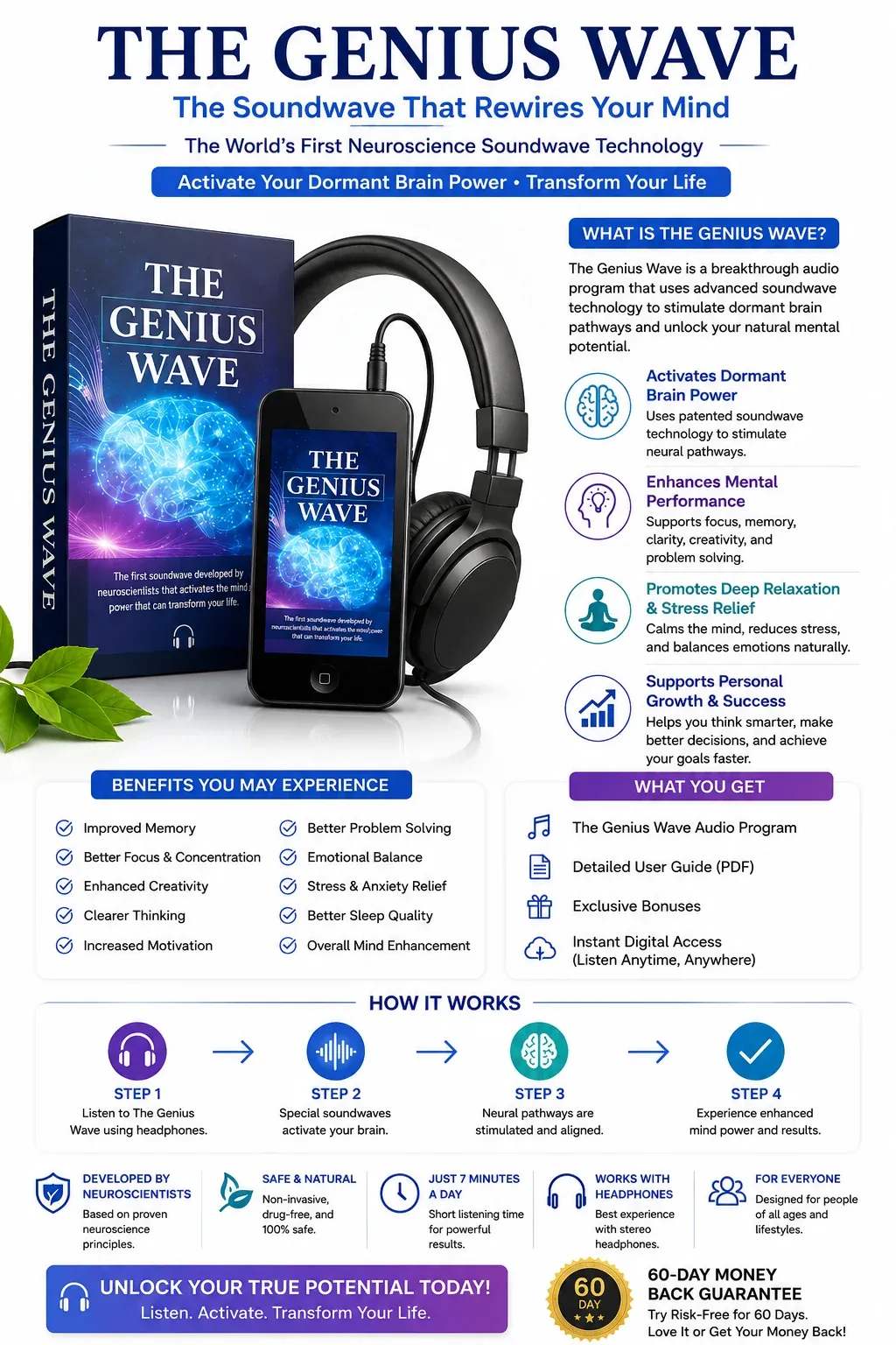 The Genius Song review infographic explaining the digital audio program concept